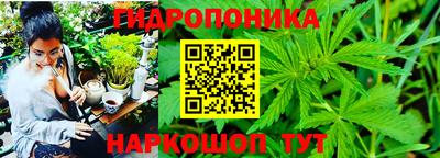 твердый Пушкино
