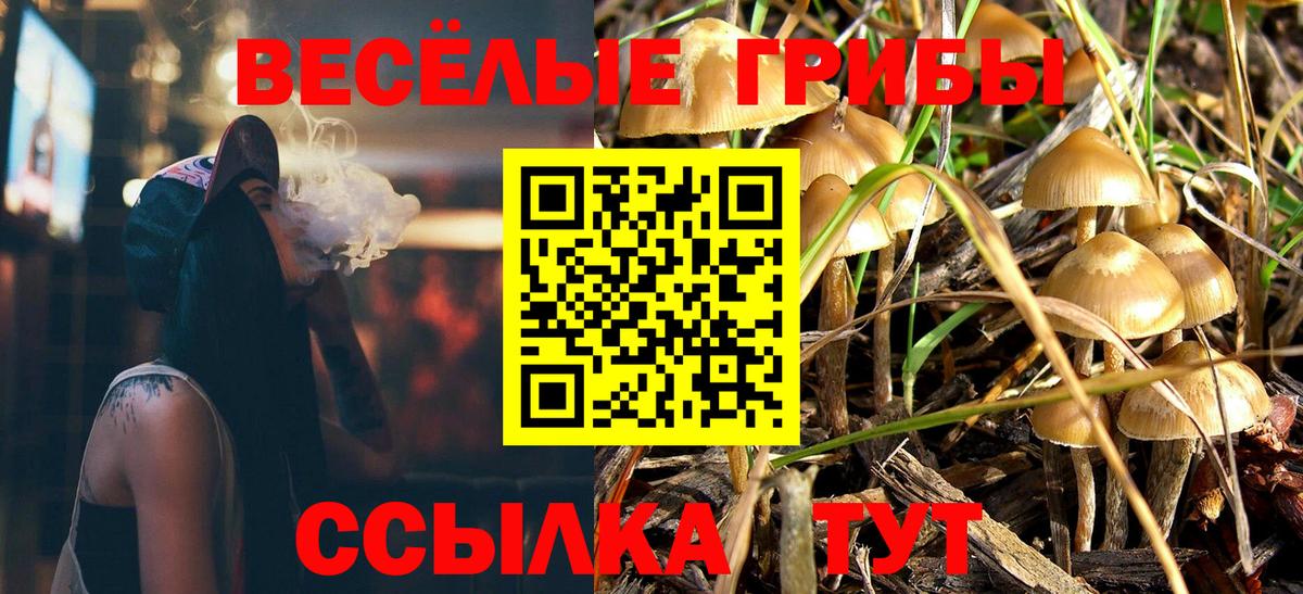 Галлюциногенные грибы Psilocybine cubensis Углич