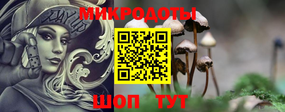 Псилоцибиновые грибы Psilocybe  Вход с VPN  Углич 